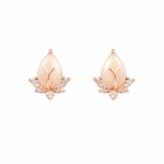 Silver Elegant Stud Earrings