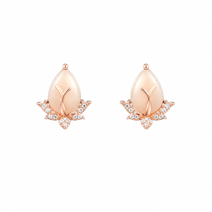 Silver Elegant Stud Earrings