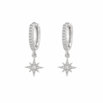 Silver Elegant Stud Earrings